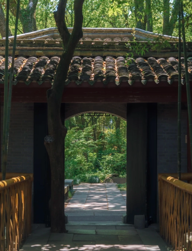 ningbo museum guided tour