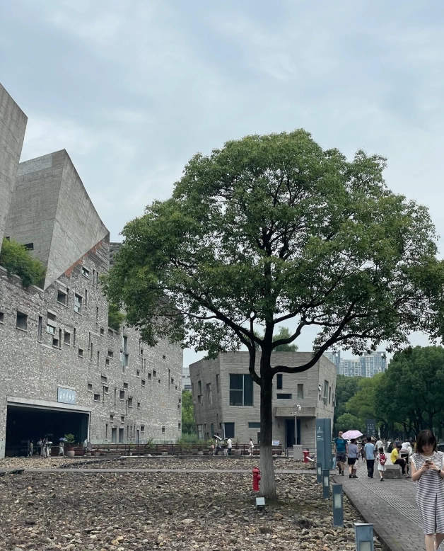 Ningbo Museum architecture