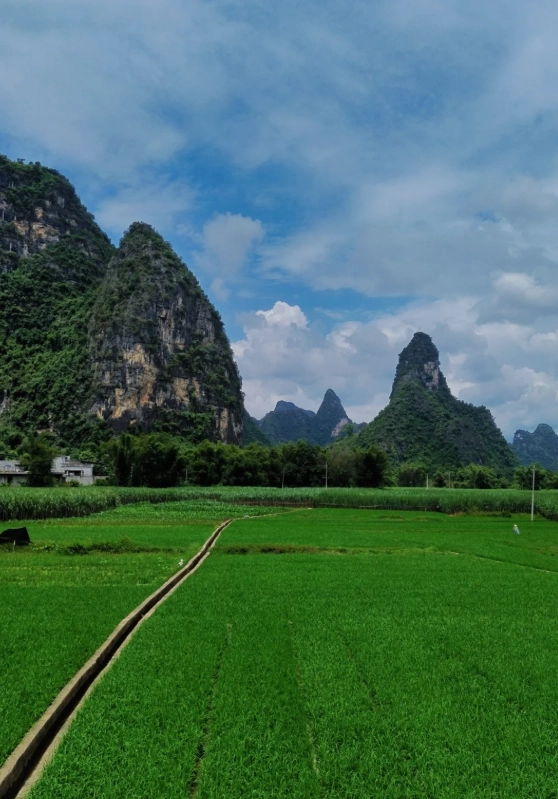 Mingshi Countryside Opening Hours: Plan Your Visit Right