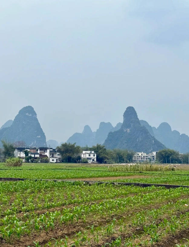Mingshi Countryside guide Mingshi Countryside guide