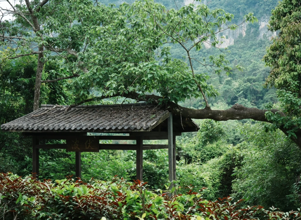 Pingxiang Guangxi travel