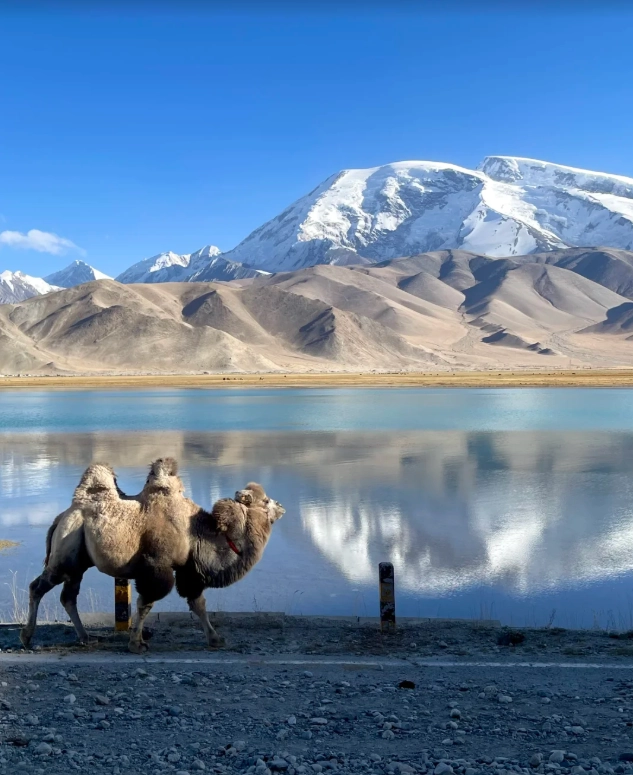 Kashgar Travel Guide: Beat the Crowds & Explore the Old City