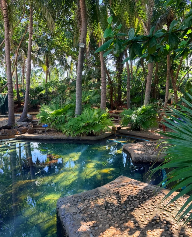 haikou hot springs cost haikou hot springs cost