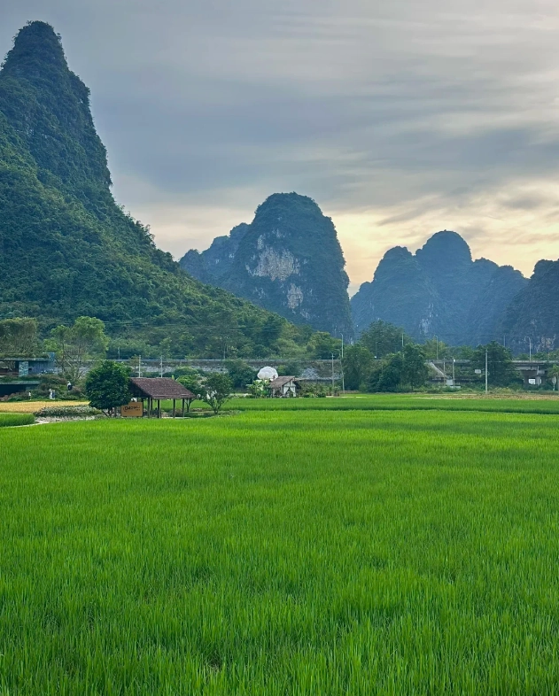 Mingshi Scenic Area Mingshi Scenic Area