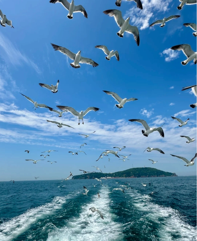 Top Things to Do in Shandong: Hidden Gems & Local Tips