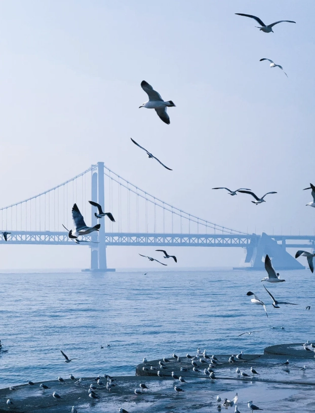 liaoning theme parks liaoning theme parks