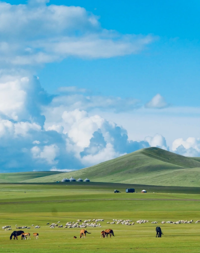 days to spend in hohhot days to spend in hohhot