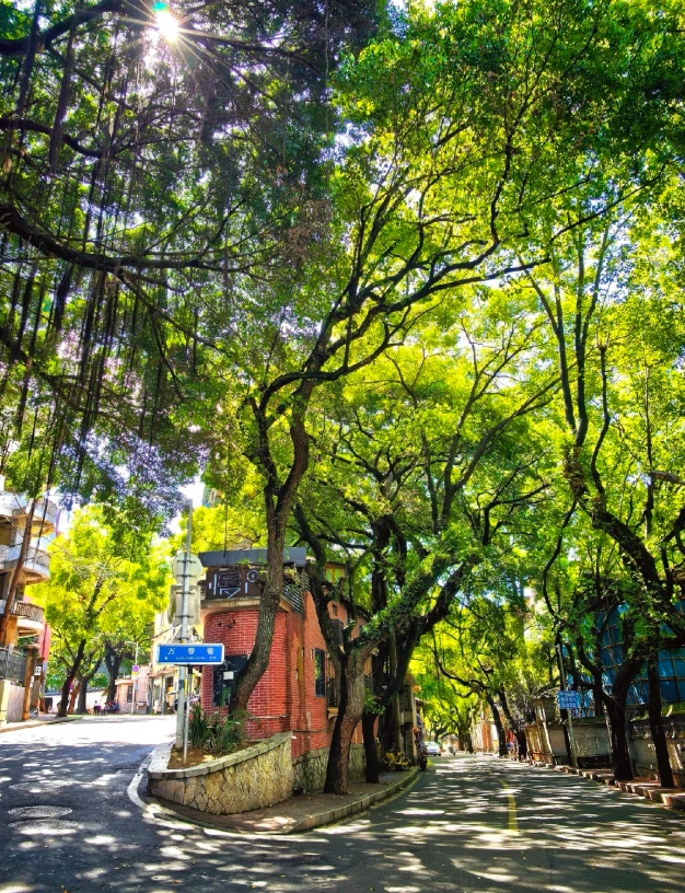 fujian travel guide fujian travel guide