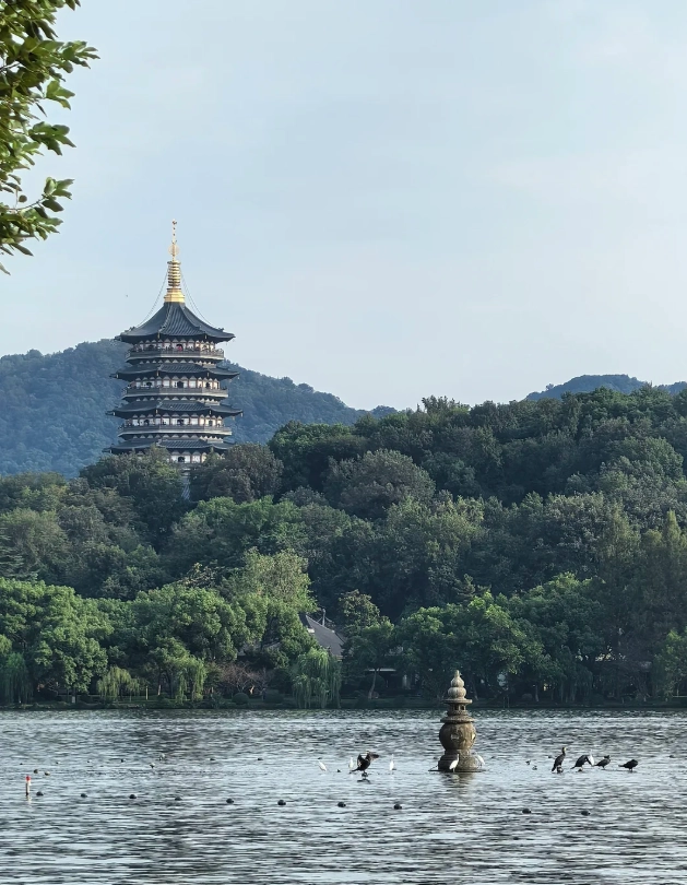 What to Do in Zhejiang: Insider Tips for a Memorable Trip