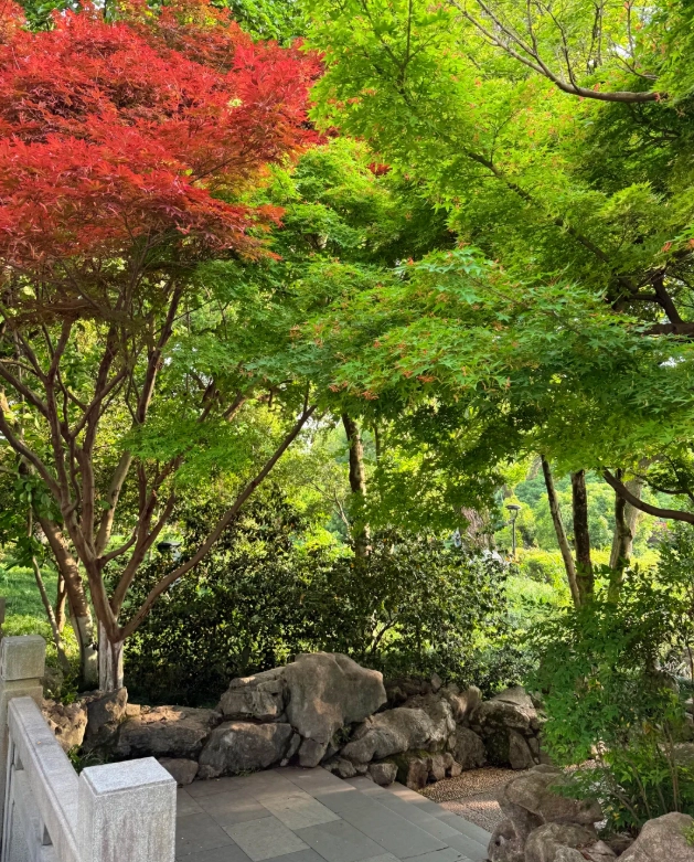 things to do in Hangzhou things to do in Hangzhou