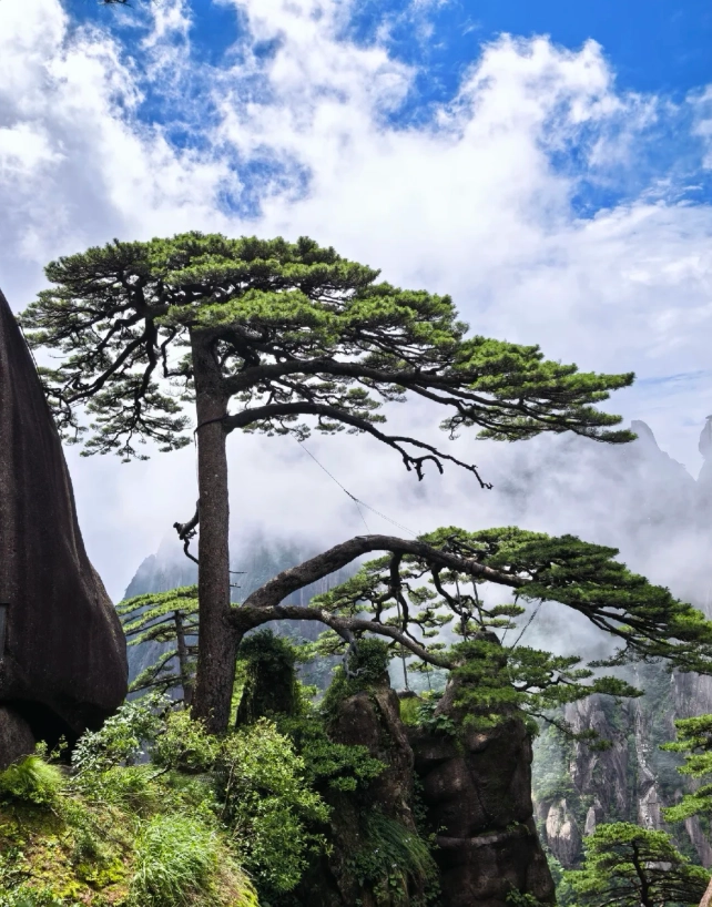 Yellow Mountain hiking tips