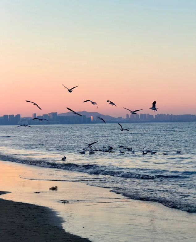 yantai travel guide yantai travel guide