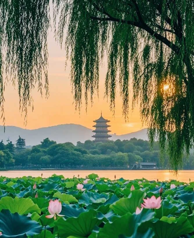 Moganshan travel