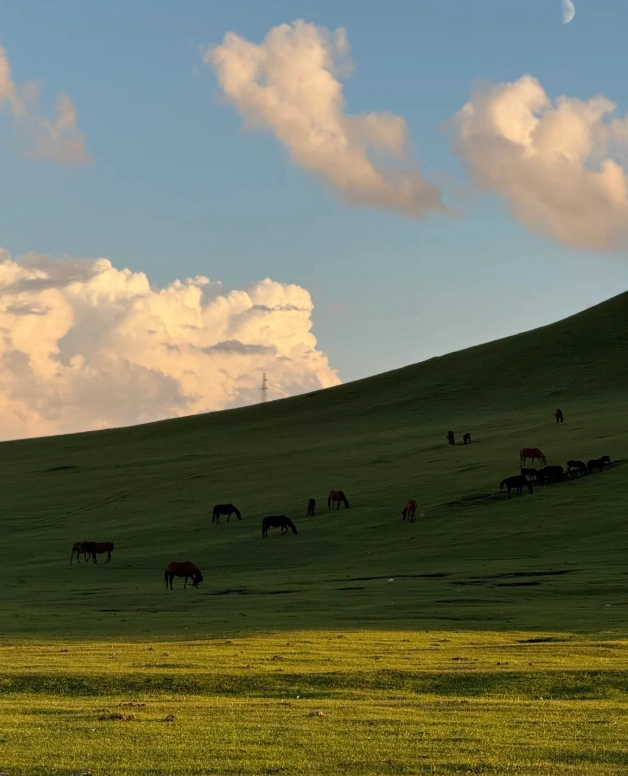 Hulunbuir grassland tours Hulunbuir grassland tours
