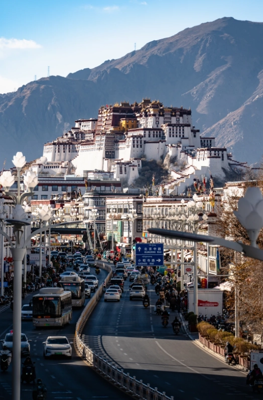lhasa with kids