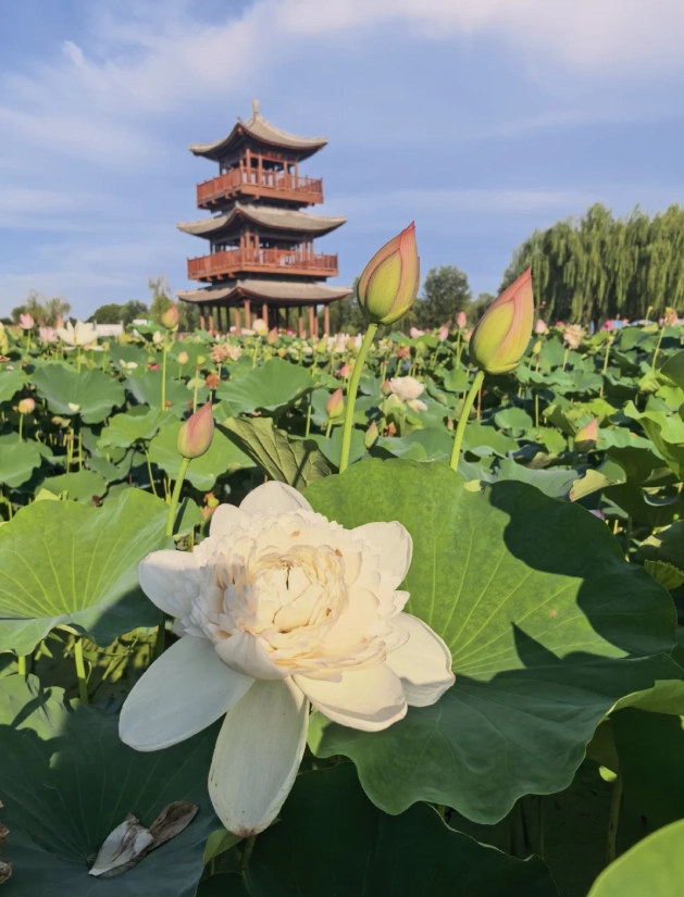 top things to do in hebei top things to do in hebei
