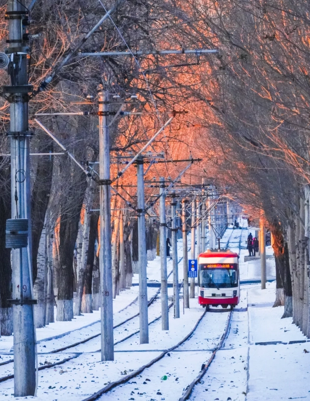 visit changchun days visit changchun days