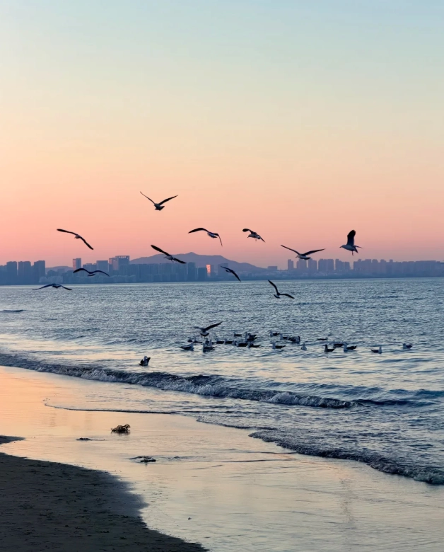 Free Things to Do in Yantai: Zero-Yuan Sights That Rock
