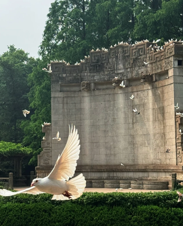 what to do in jiangsu what to do in jiangsu