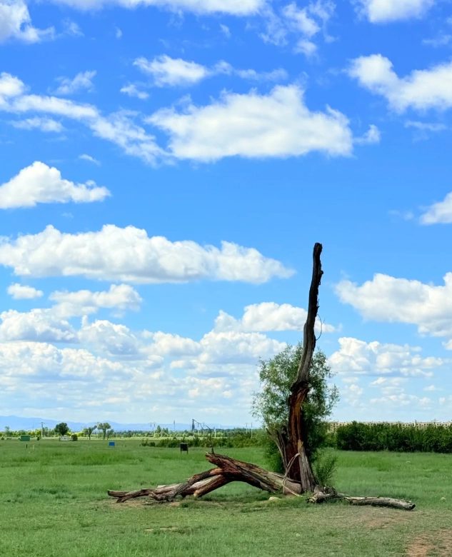 Hulunbuir grassland tours Hulunbuir grassland tours