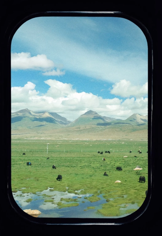 things to do in tibet with kids