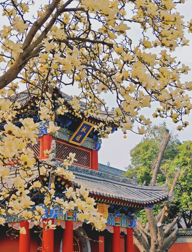 Shaanxi travel guide Shaanxi travel guide