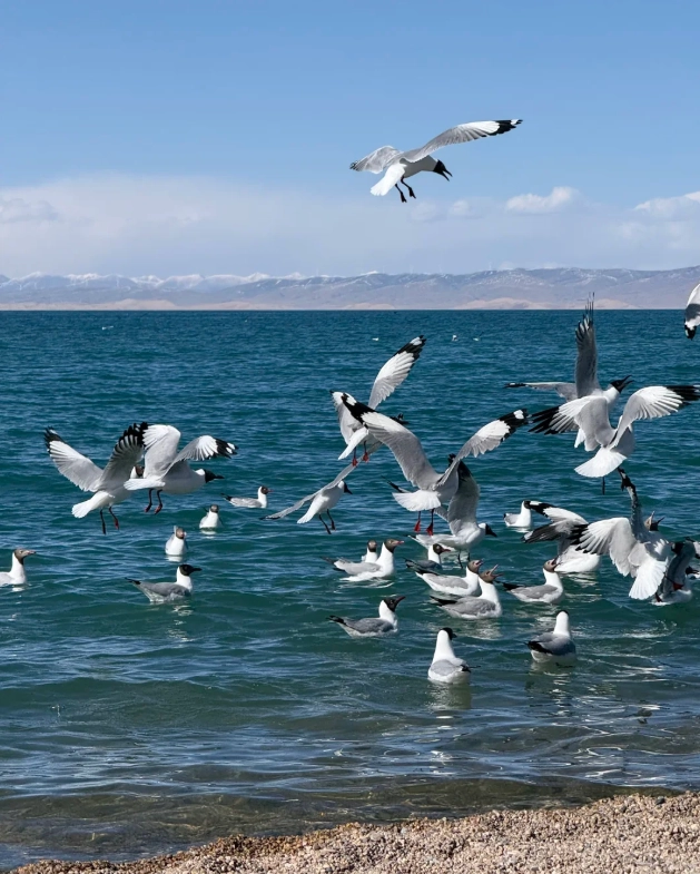 Chaka Salt Lake visiting guide Chaka Salt Lake visiting guide