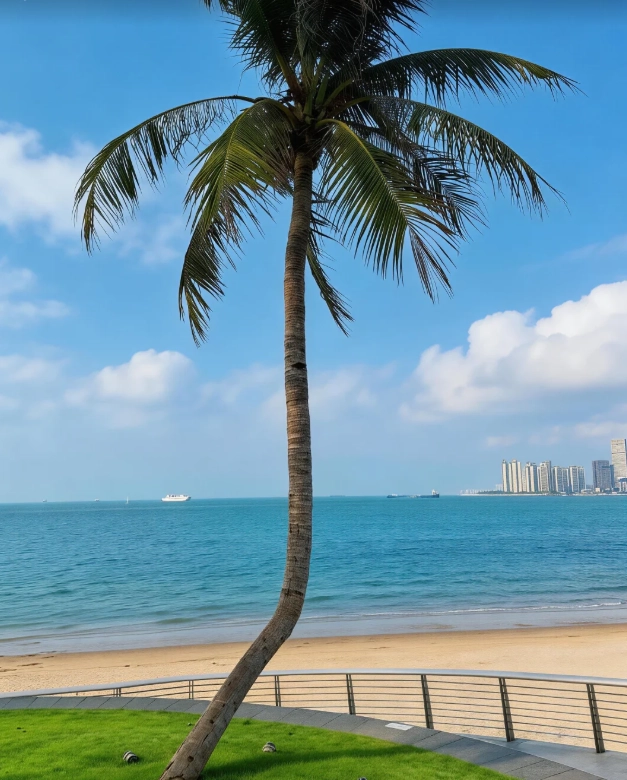 things to do in Haikou things to do in Haikou