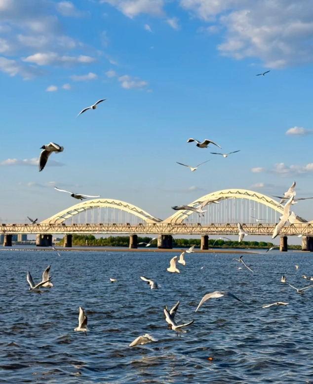 heilongjiang tour duration heilongjiang tour duration
