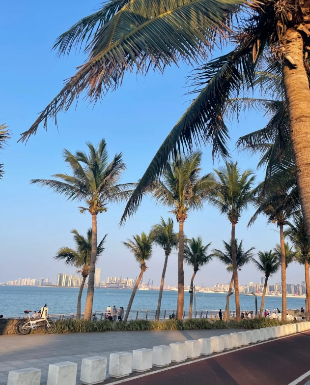 Haikou seafood