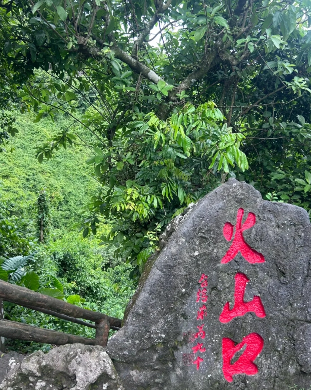 Top Things to Do in Haikou: 10 Must-Try Experiences