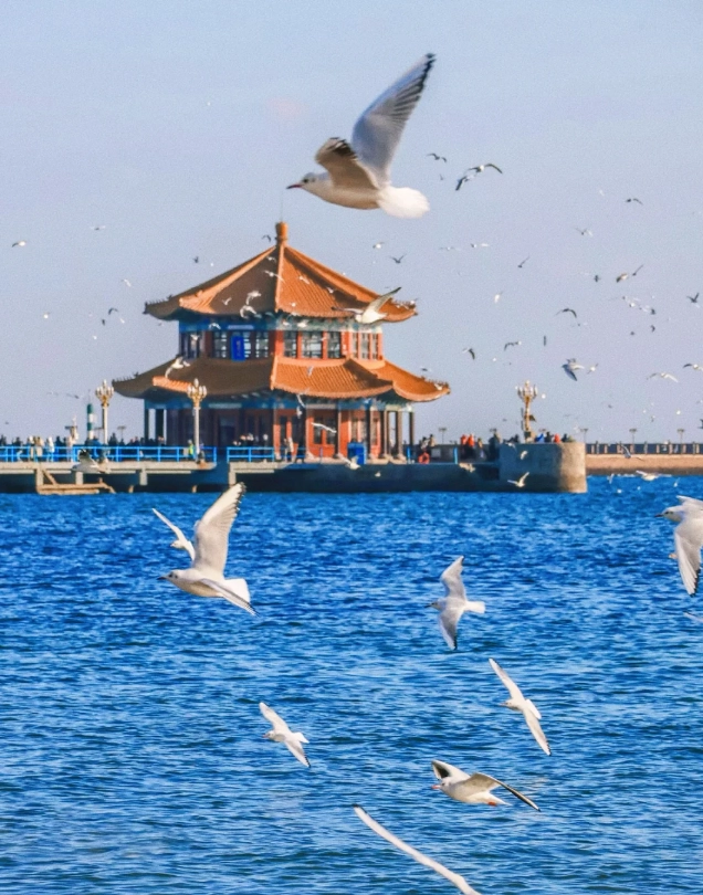 shandong tourist attractions