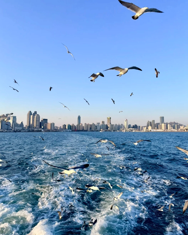 shandong travel guide