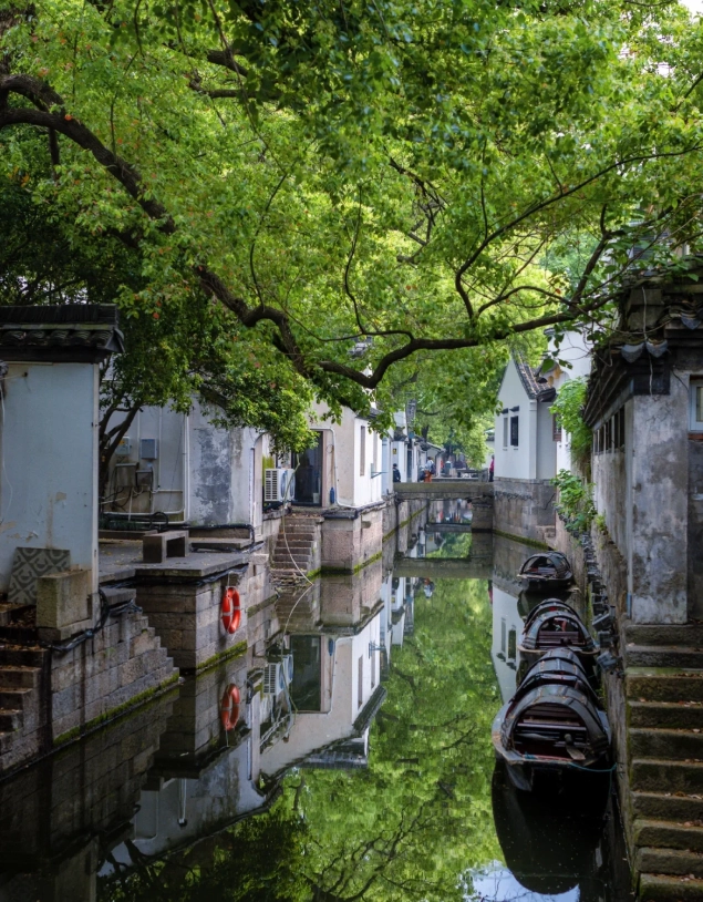 Zhejiang Tourist Attractions: A Guide Born From Years of Leading Tours