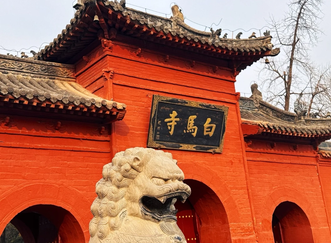 Things to Do in Henan with Kids: 10 Family Favorites