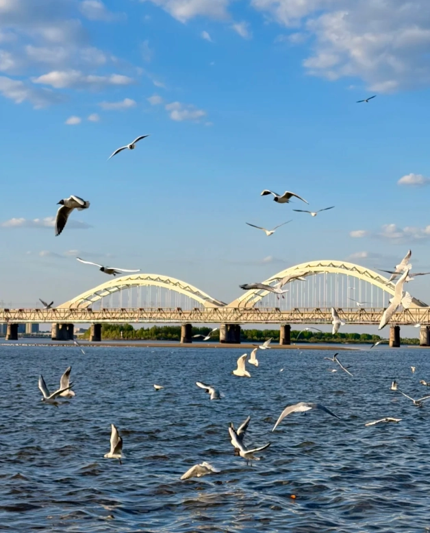 What to do in Heilongjiang: beat the cold like a local