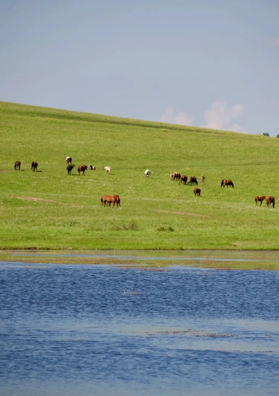 cheap things to do in inner mongolia cheap things to do in inner mongolia