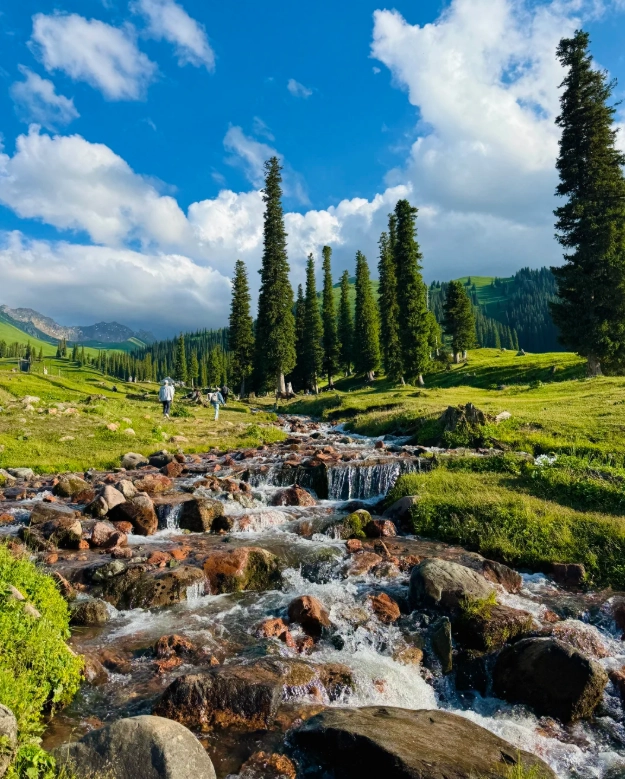 no-cost activities in xinjiang no-cost activities in xinjiang
