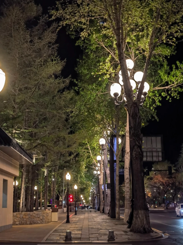What to Do in Changchun at Night: Avoid the Tourist Traps