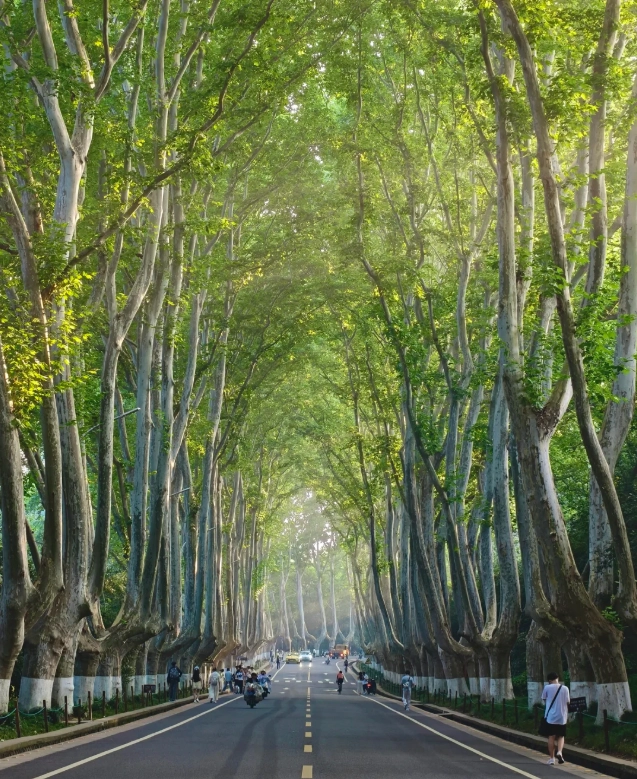 jiangsu travel tips jiangsu travel tips