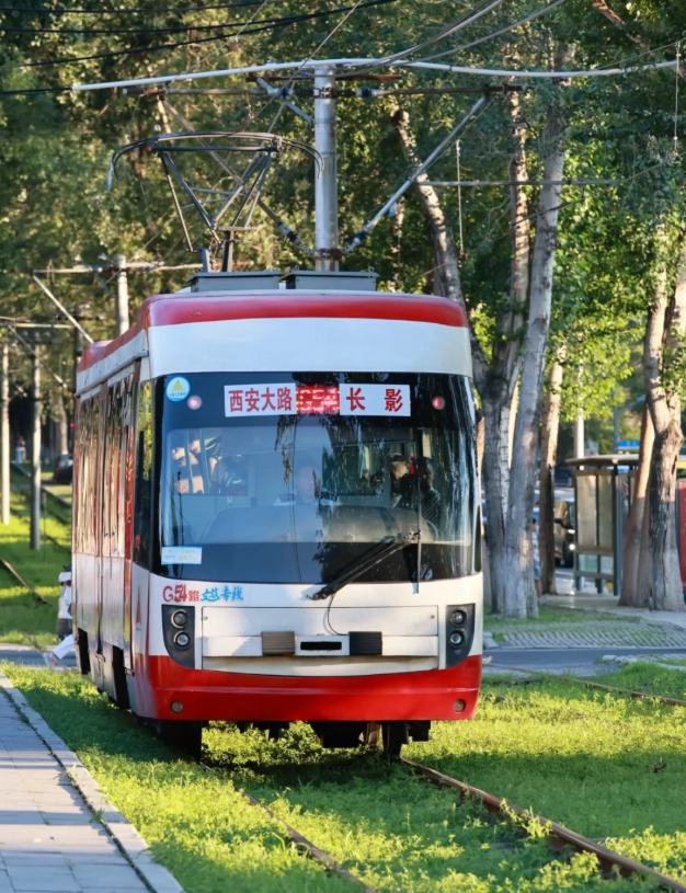 things to do in Changchun for free