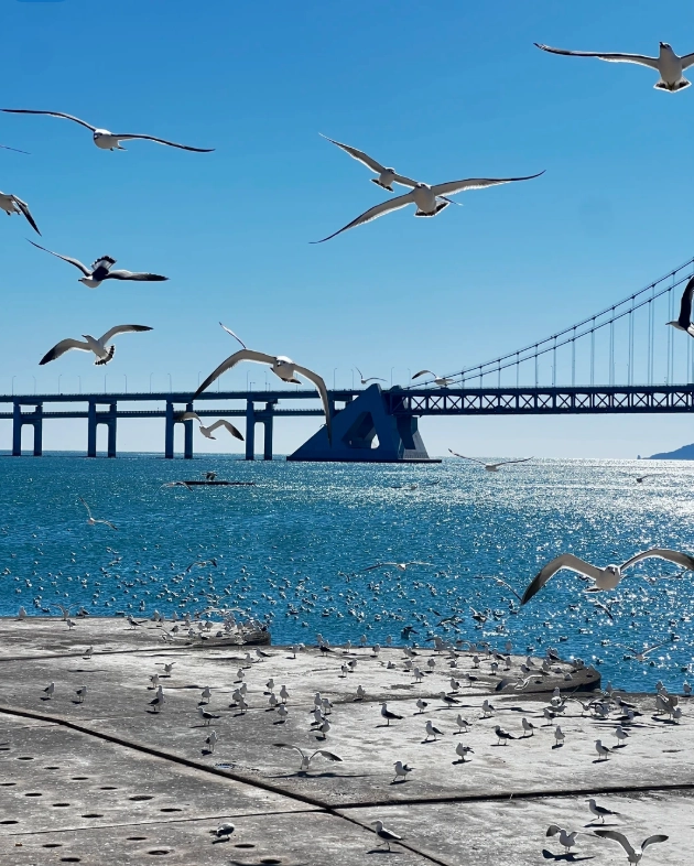 Top Things to Do in Dalian: 11 Local Secrets