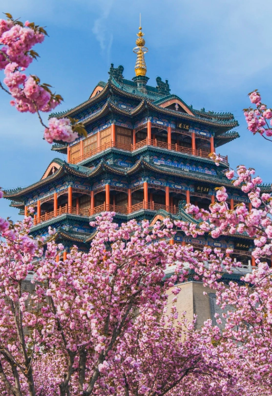 xianyang ancient sites xianyang ancient sites