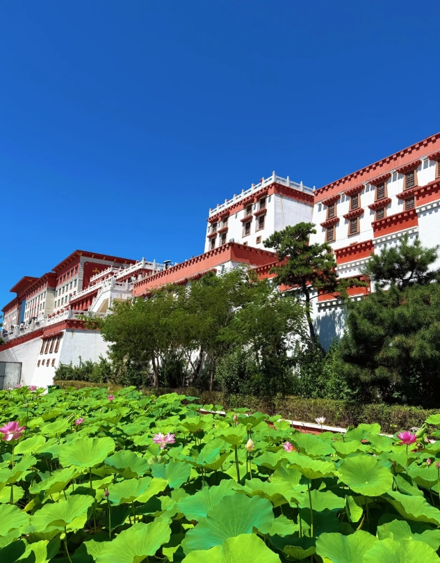 liaoning travel tips