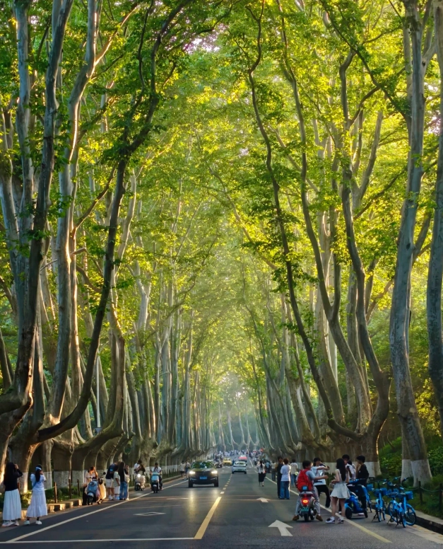 things to do in Jiangsu things to do in Jiangsu