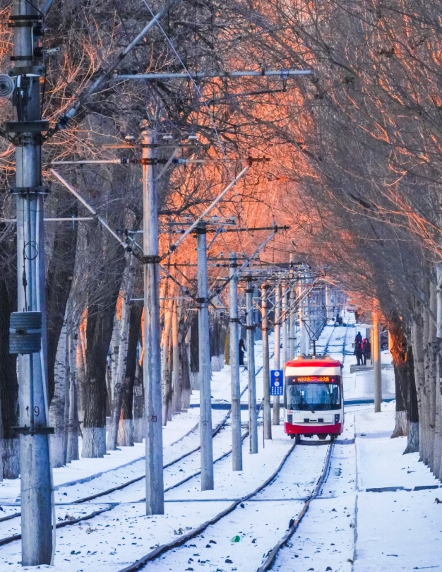 What to Do in Changchun: Insider Tips for First-Timers