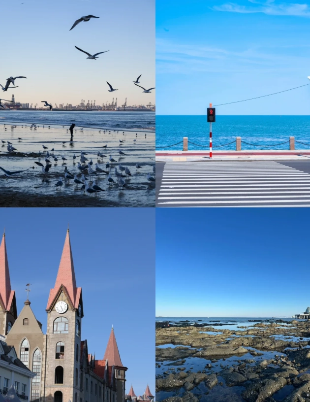 yantai seafood guide yantai seafood guide