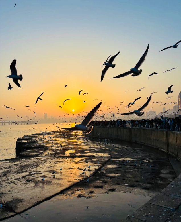 What to Do in Liaoning at Night: 7 Local Secrets