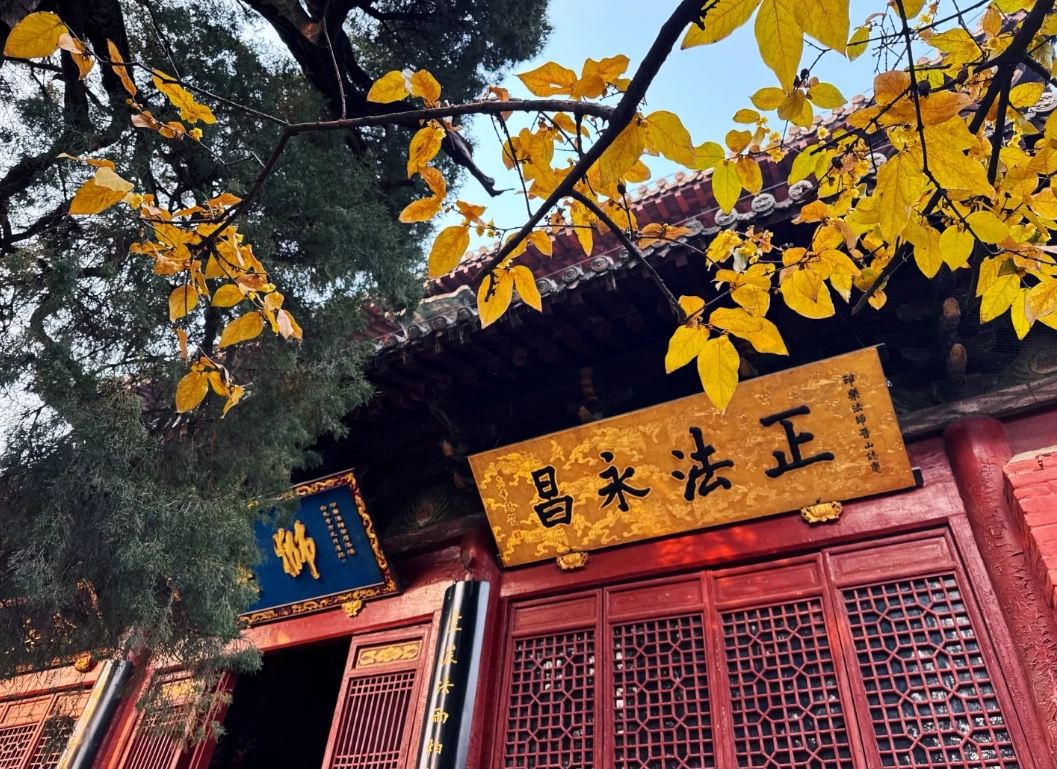 Zhengzhou free things to do Zhengzhou free things to do