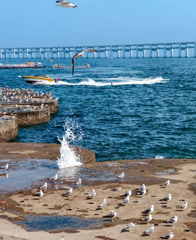 Dalian Tourist Attractions: Skip the Crowds and See the Best
